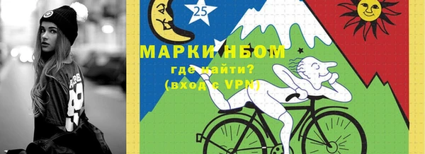 молекула духа Бородино