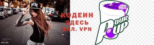 молекула духа Бородино