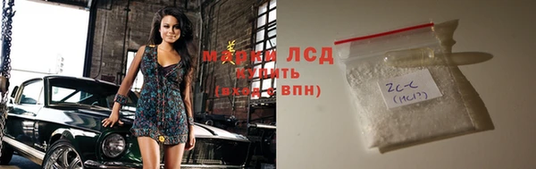 молекула духа Бородино