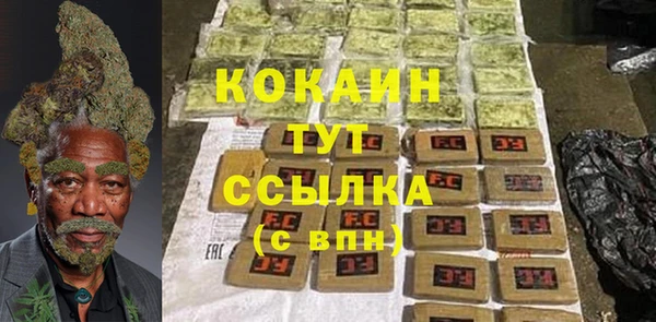 молекула духа Бородино