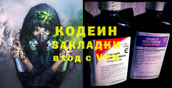 молекула духа Бородино