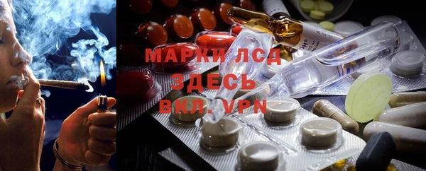 молекула духа Бородино