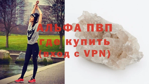 молекула духа Бородино