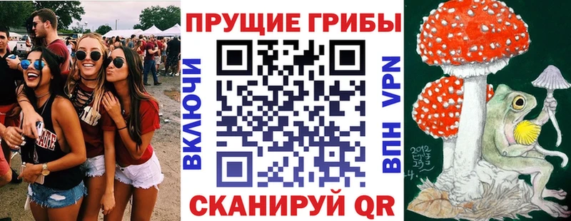 Галлюциногенные грибы ЛСД  Купить закладки  Георгиевск 
