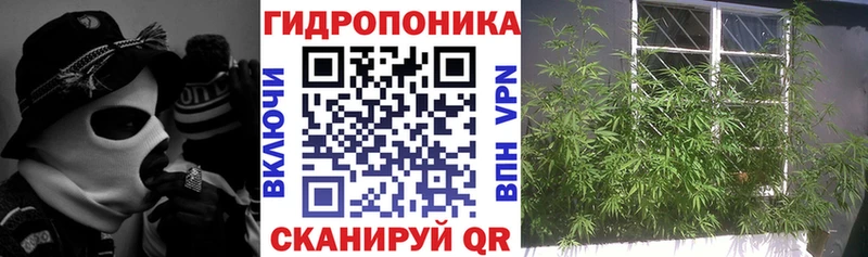 Канабис тримм  Купить закладки  Георгиевск 
